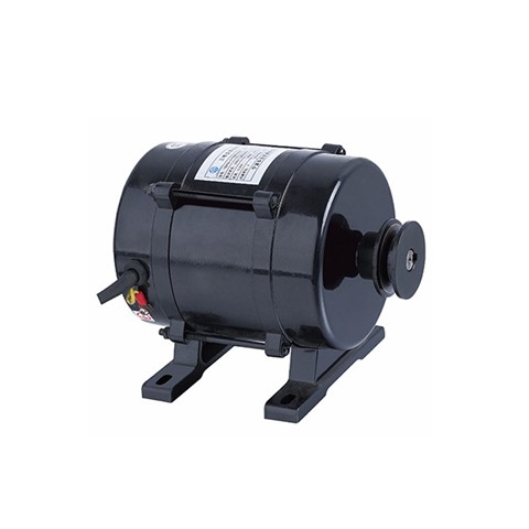 Door Motor